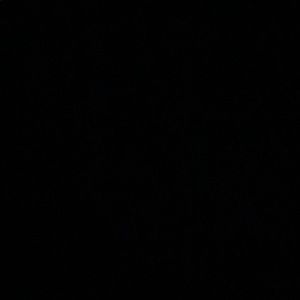 Meet your Posher, Monique